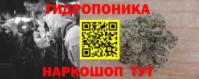 СК Конаково