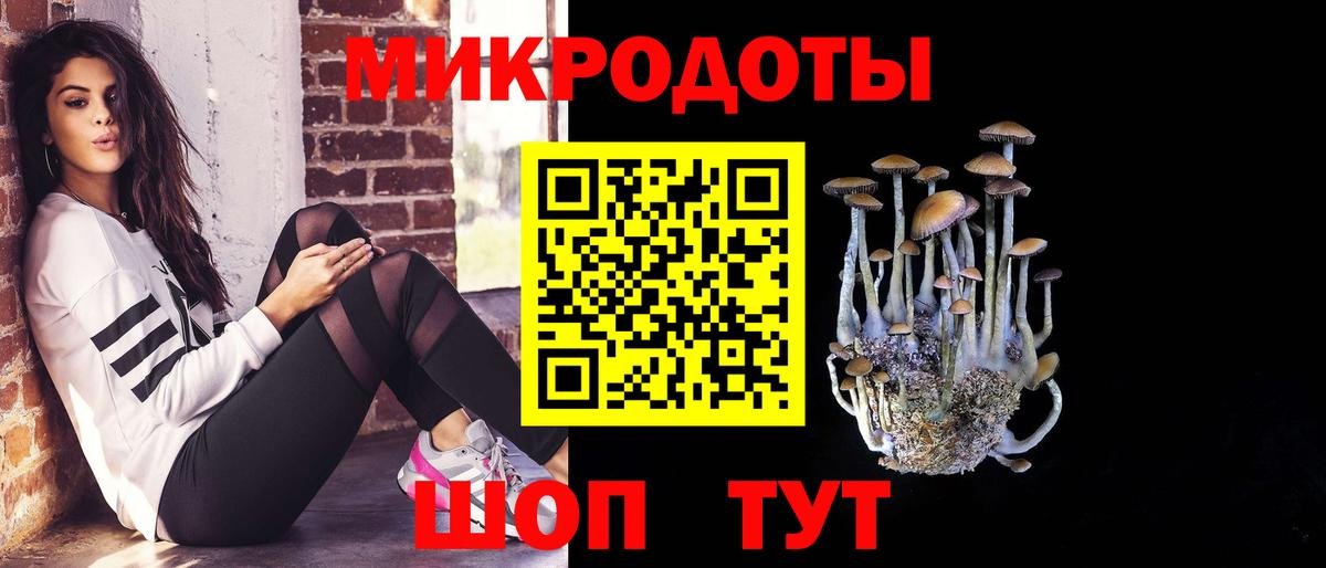 Краснокаменск  Псилоцибиновые грибы Cubensis  где найти наркотики  Вход с VPN  Галлюциногенные грибы MAGIC MUSHROOMS 